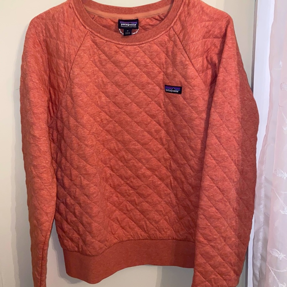 Patagonia sweatshirt